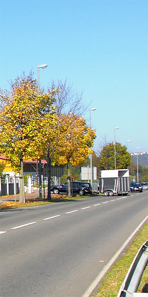 Anfahrt Pferdeklinik Dettingen