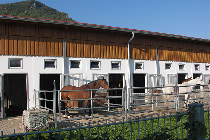 image02